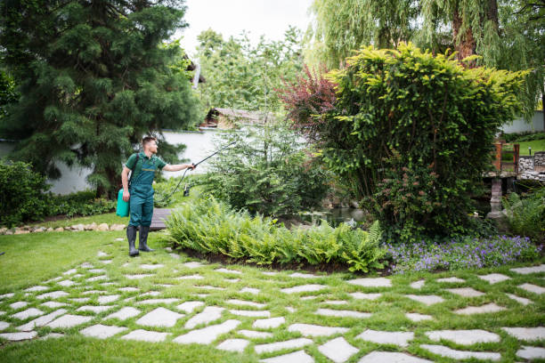 Trusted Averill Park, NY Pest Control Experts