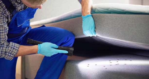 Best Best Pest Control Companies  in Averill Park, NY