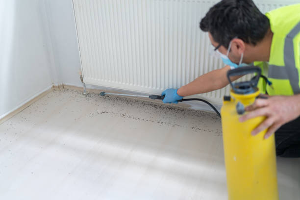 Best Exterminator Services  in Averill Park, NY